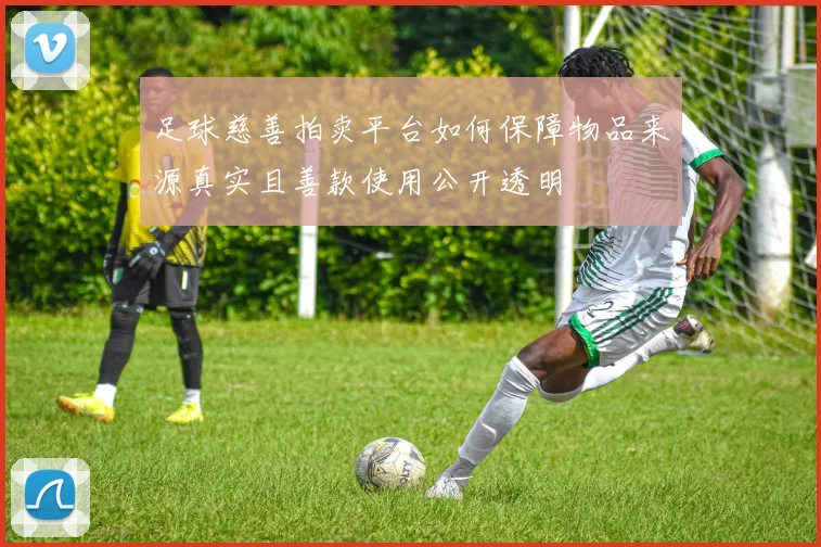 足球慈善拍卖平台如何保障物品来源真实且善款使用公开透明