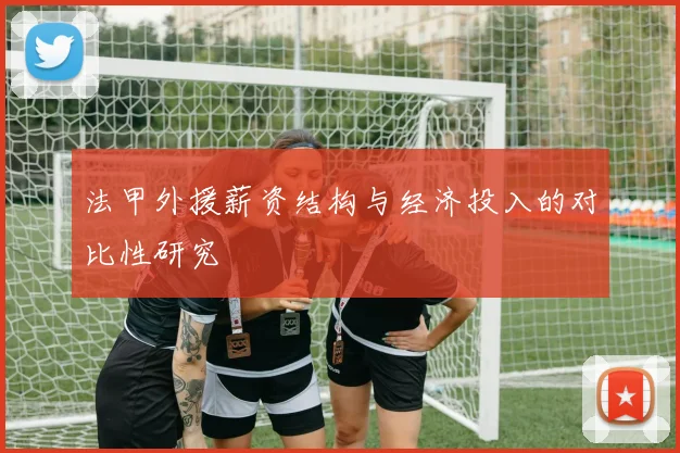 法甲外援薪资结构与经济投入的对比性研究